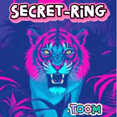 SECRET-RINGのジャケット写真