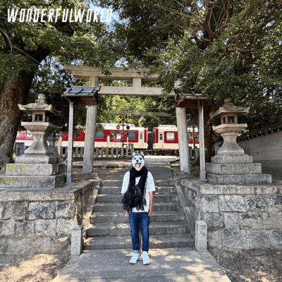 StarLight Front Cover