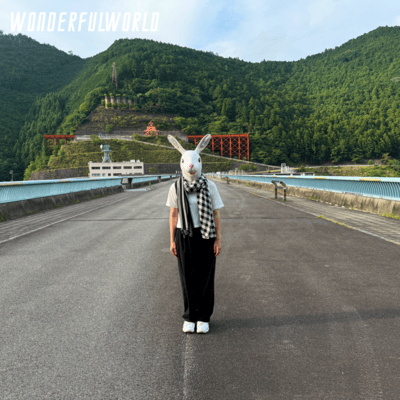 アンナイロのジャケット写真