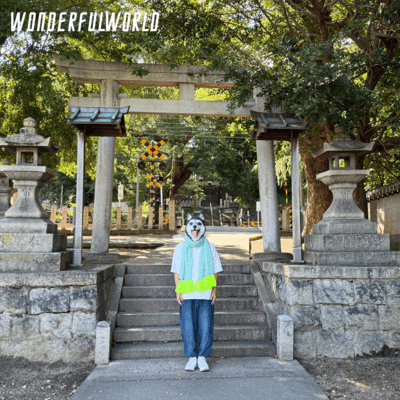 ファンキーレディのジャケット写真