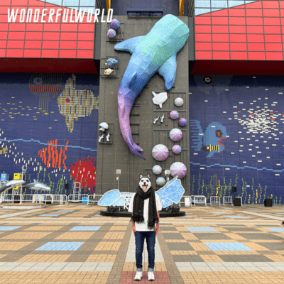 ビューティフルトゥナイトのジャケット写真