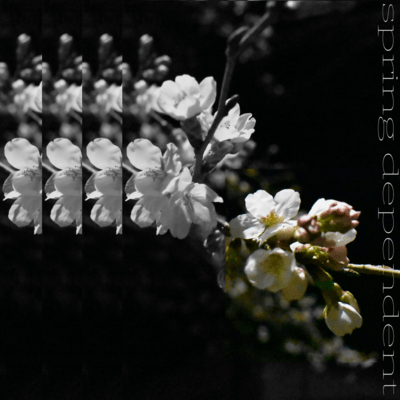 spring dependent (feat. DIEGO)のジャケット写真