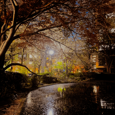 Lights Front Cover