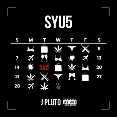 SYU 5のジャケット写真