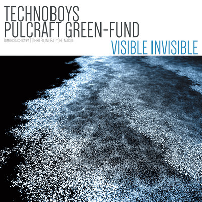 VISIBLE INVISIBLE Front Cover
