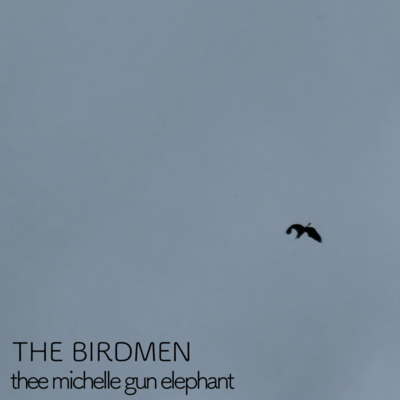 The Birdmen (Cover) Front Cover