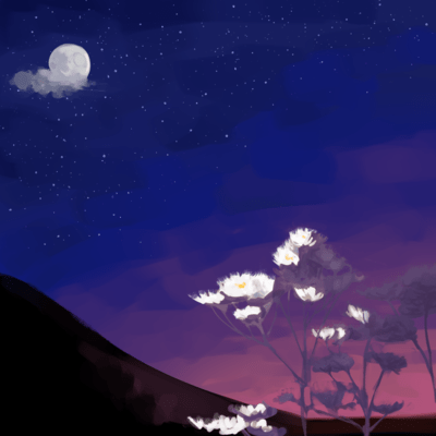 十五夜草のジャケット写真