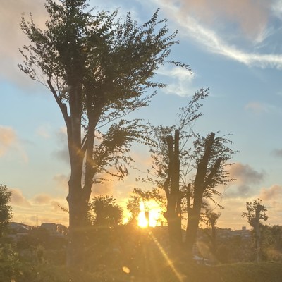 good byのジャケット写真