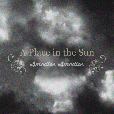 A Place in the Sun Front Cover