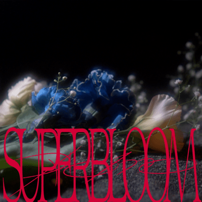 superbloomのジャケット写真