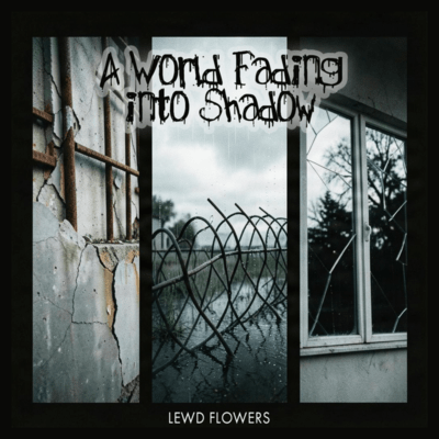 A World Fading into Shadow Front Cover