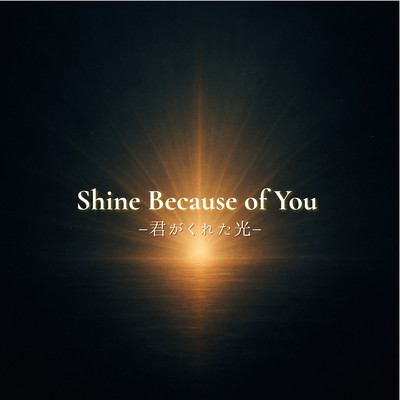Shine Because of You Front Cover