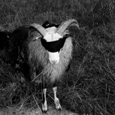 I'm away, no way Front Cover