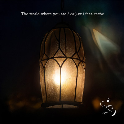 The world where you are (feat. reche)のジャケット写真