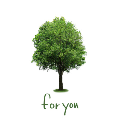 for you (feat. DJ GO) Front Cover