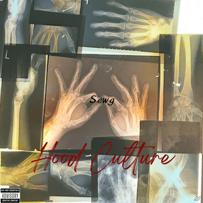 Hood Cultureのジャケット写真