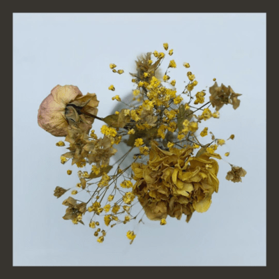 Interlude Front Cover