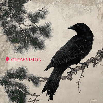 CROWVISIONのジャケット写真