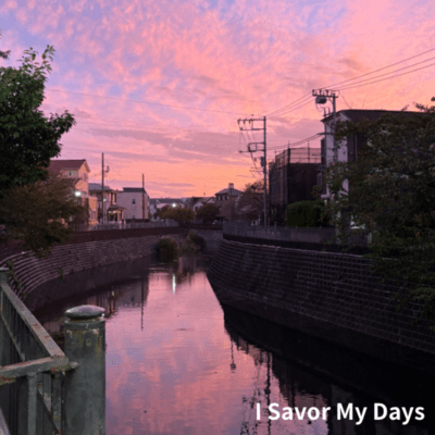 I Savor My Daysのジャケット写真