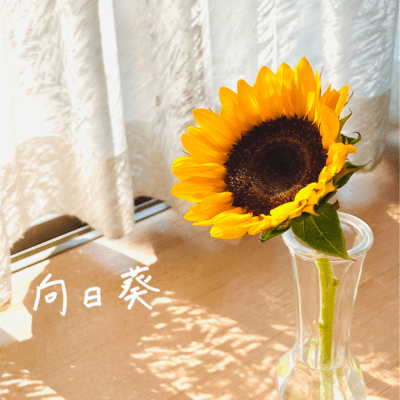 himawari Front Cover