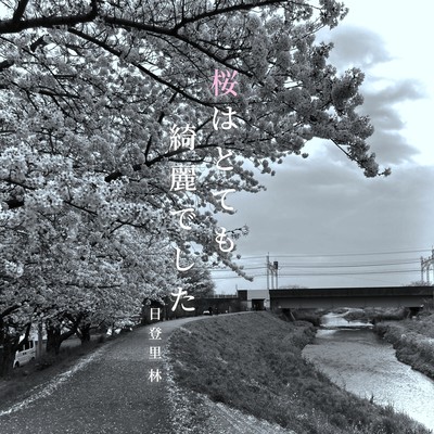 Sakurahatotemokireideshita Front Cover