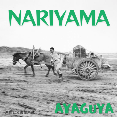 NARIYAMA Front Cover