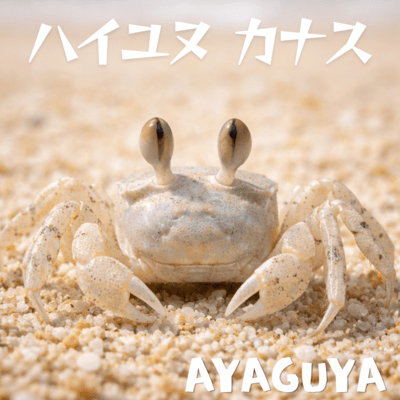Haiyunu Kanasu Front Cover
