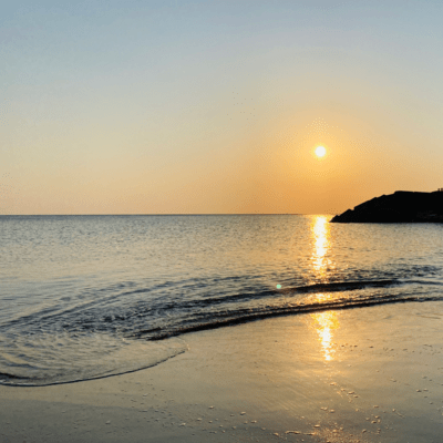 友にのジャケット写真