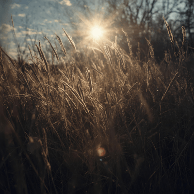 明日の扉を蹴破れのジャケット写真