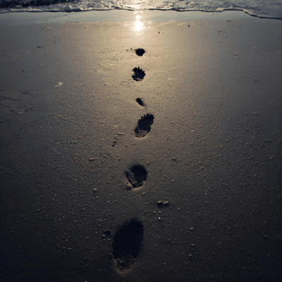 Future Rise Front Cover