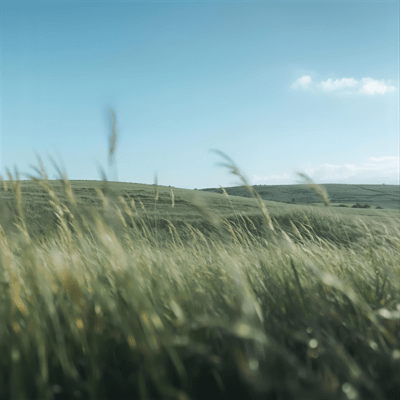 Gentle Breeze Front Cover