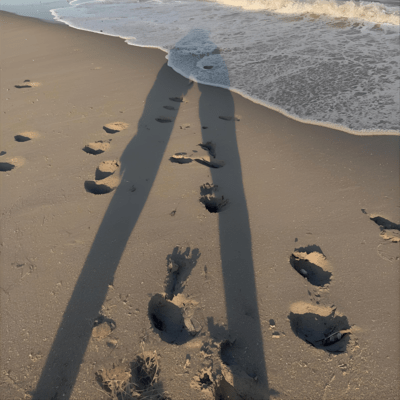 夏の余白のジャケット写真