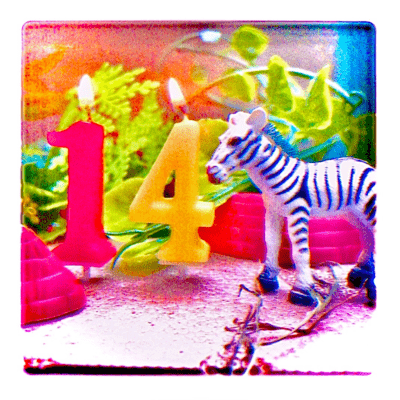 14のジャケット写真