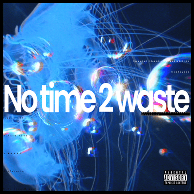 No time 2 waste Front Cover