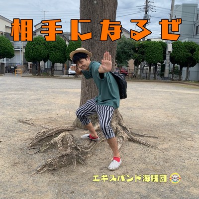 相手になるぜのジャケット写真