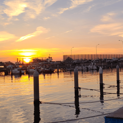 Beyond My Reach Front Cover