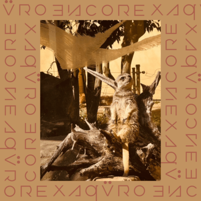 Encore Front Cover