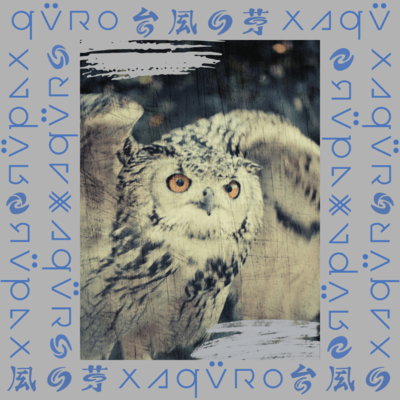 Taihu no me Front Cover