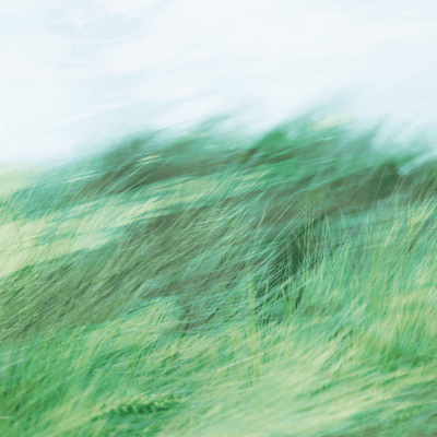 Natsukaze Front Cover