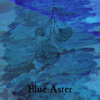 Blue Aster Front Cover