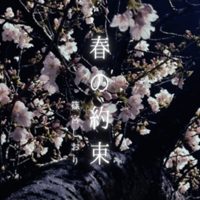 Spring Promise Front Cover