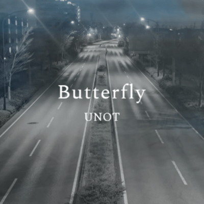 Butterfly Front Cover