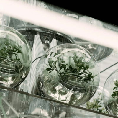 静寂のジャケット写真