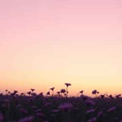 Afterglow (feat. Paper Crane Parade) Front Cover