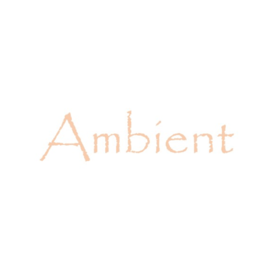 Ambientのジャケット写真