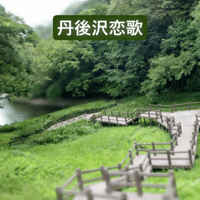 丹後沢恋歌のジャケット写真