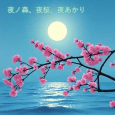 夜ノ森、夜桜、夜あかりのジャケット写真