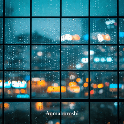 What I Didn't Say Front Cover