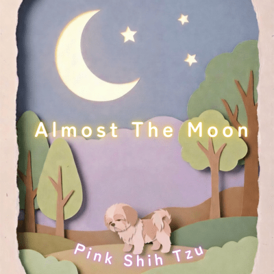 Almost The Moon Front Cover