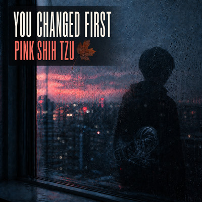 You Changed Firstのジャケット写真